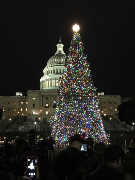 Capitol Christmas Tree 2017